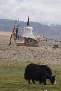 leh manali cycling 4